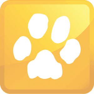 Pet carpet cleaning in Kansas City