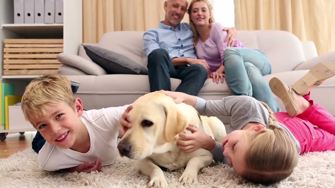 deep carpet cleaning, Chem-Dry best carpet cleaning near me